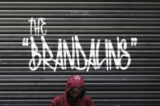 Brandalins: A Bold Choice for Web Design
