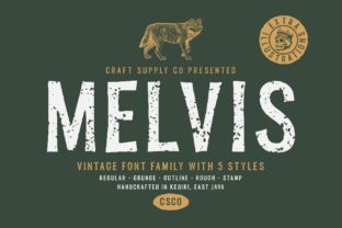 Font That Stands Out: Melvis Family for Powerful Digital Design