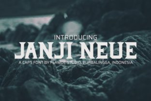 Janji Neue: A Display Font That Elevates Web Design