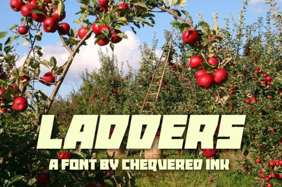 Ladders: A Versatile Display Font for Editorial Design