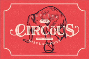 The Circous: A Timeless Display Font for Digital Branding
